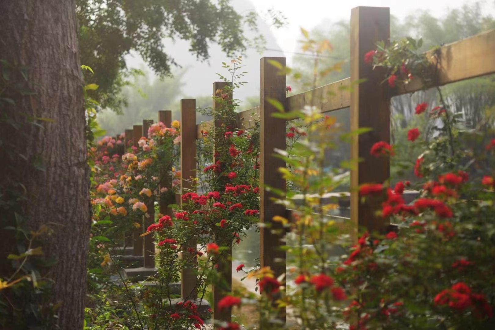 Moondance Boutique Resort หยางซั่ว ภายนอก รูปภาพ